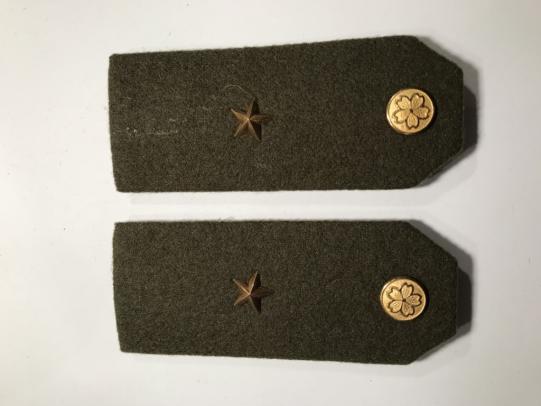 Secound class private dress shoulder boards