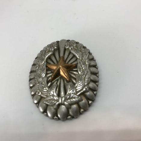 Commanders badge company officer